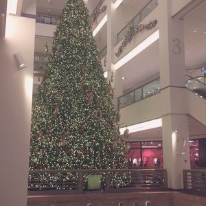 Meet your Posher, Rivera